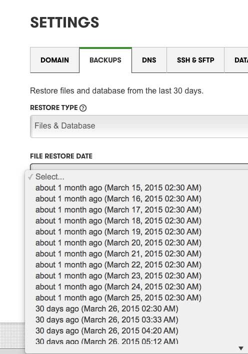 With Managed WordPress Hosting, you can restore automated daily backups with a single click.